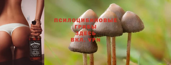 ECSTASY Абинск