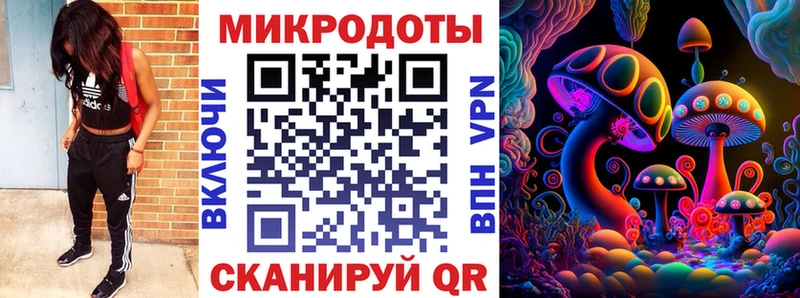 KRAKEN маркетплейс Нестеров Псилоцибиновые грибы Psilocybine cubensis где купить